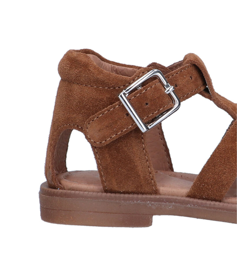 Westlake Cognac Sandalen voor jongens, meisjes (320013)