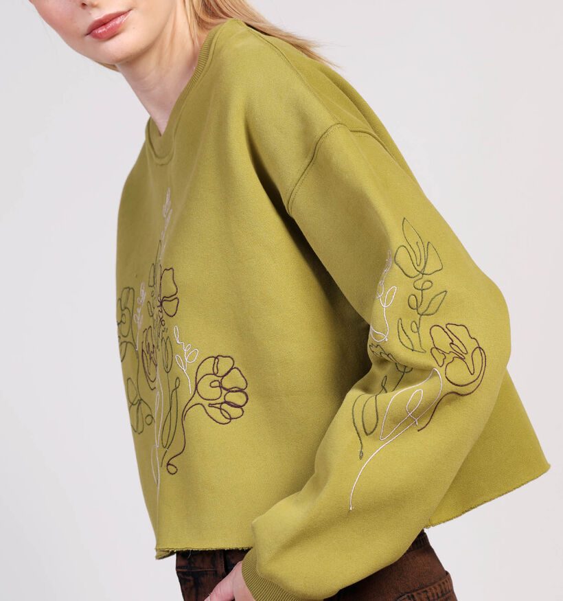 Orfeo Pull en Vert kaki pour femmes (364324)