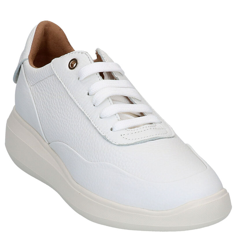 Geox Baskets habillées en Blanc en cuir (266825)