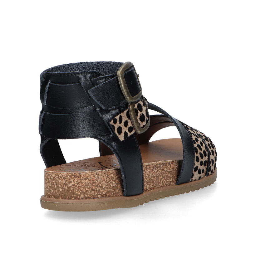 Blowfish Malibu Fandie Zwarte Sandalen voor dames (322138)