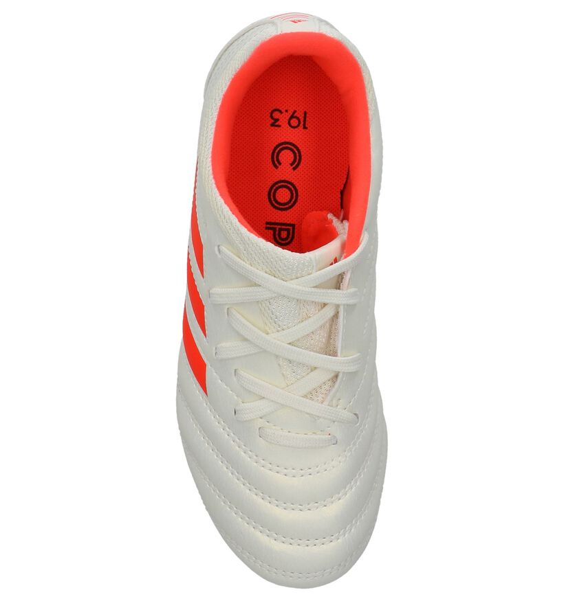 adidas Copa Chaussures de foot en Beige en simili cuir (236096)