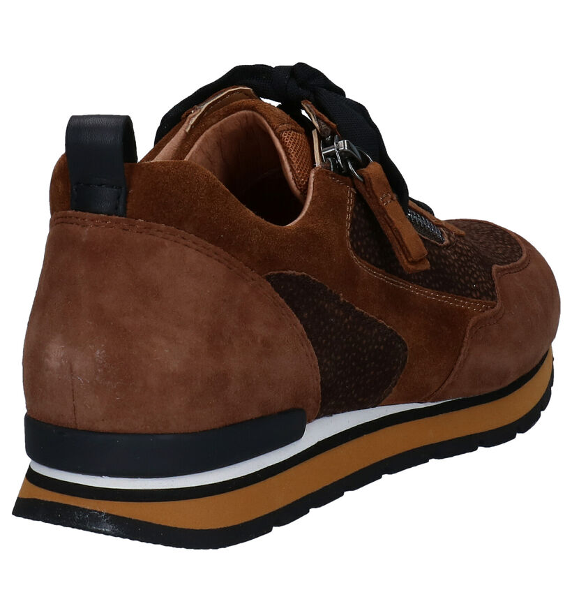 Gabor OptiFit Baskets en Cognac en cuir (282287)