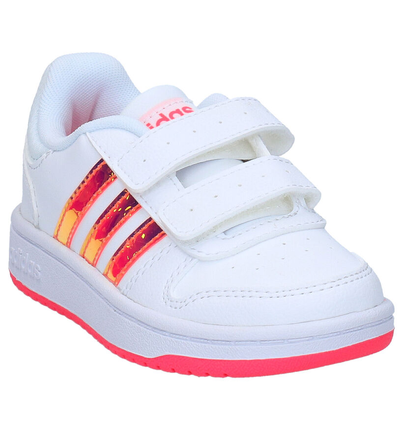 adidas Hoops Witte Sneakers in kunstleer (284523)