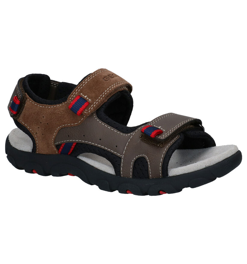 Geox Bruine Sandalen in kunstleer (286966)