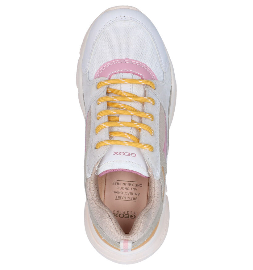 Geox Beige Sneakers in daim (265775)