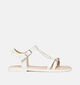 Geox Karly Witte Sandalen voor meisjes (368862)