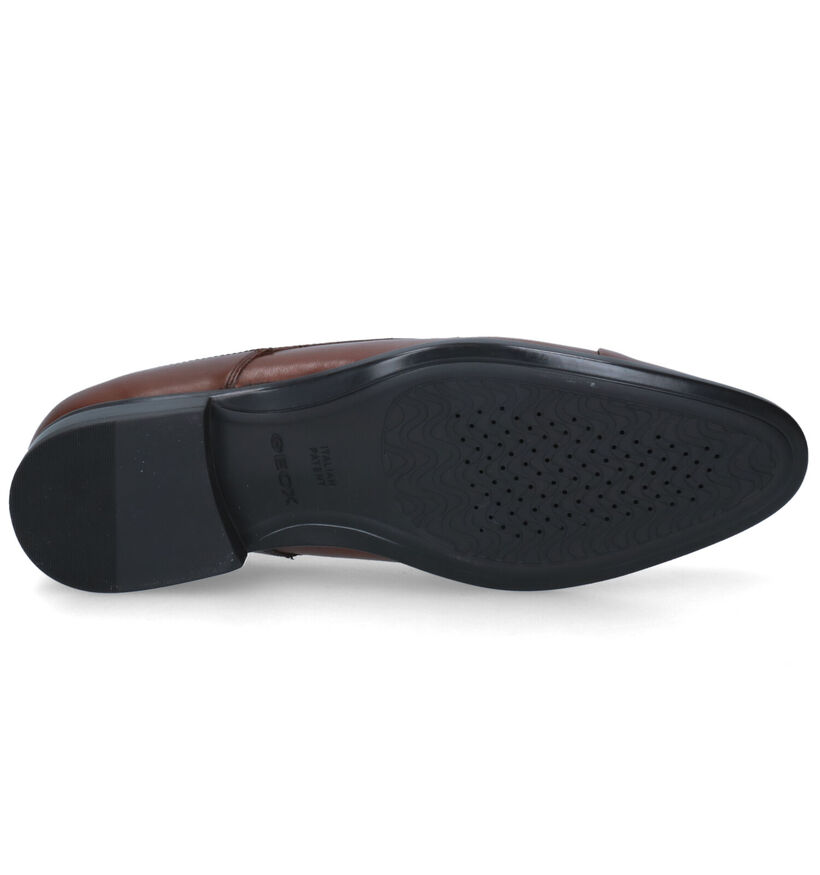 Geox Iacopo Cognac Geklede Veterschoenen in leer (315644)