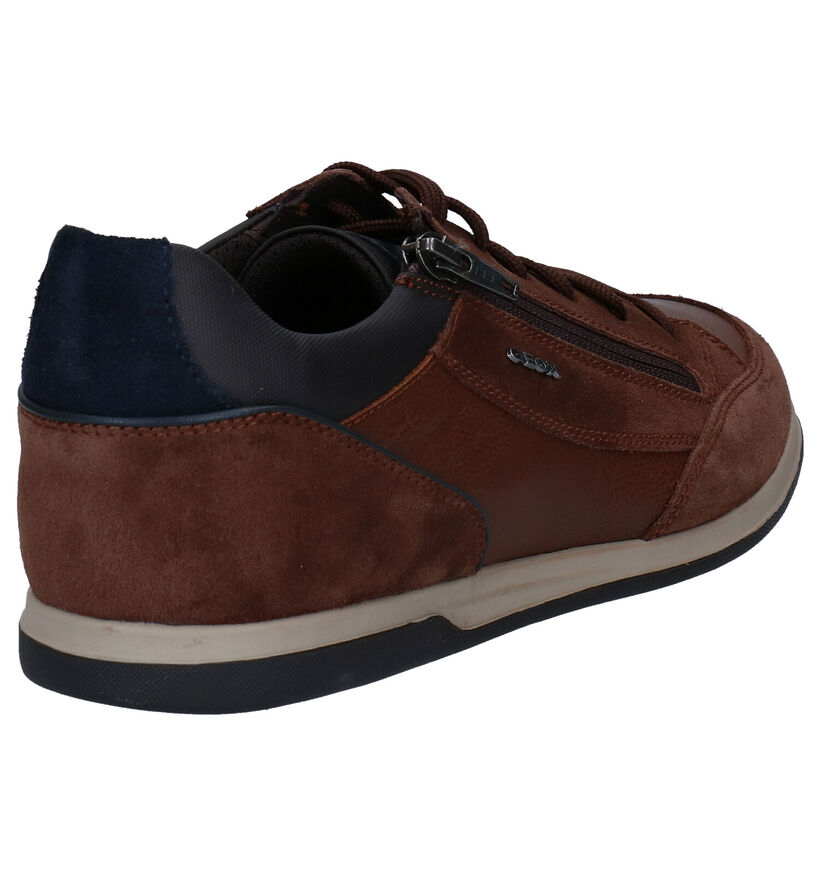 Geox Renan Chaussures à lacets en Brun en daim (278959)