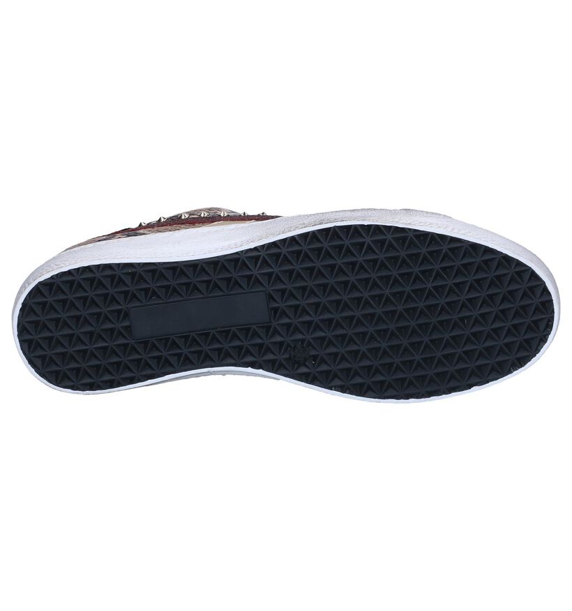 Clue Baskets habillées en Marron en cuir (262592)