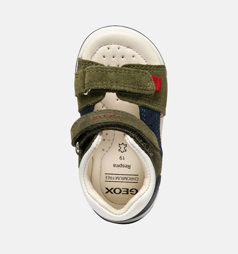 Geox Zapitto Sandales pour bébé en Vert pour garçons (352914)