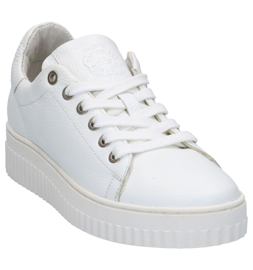 Shoecolate Chaussures à lacets en Blanc en cuir (266407)