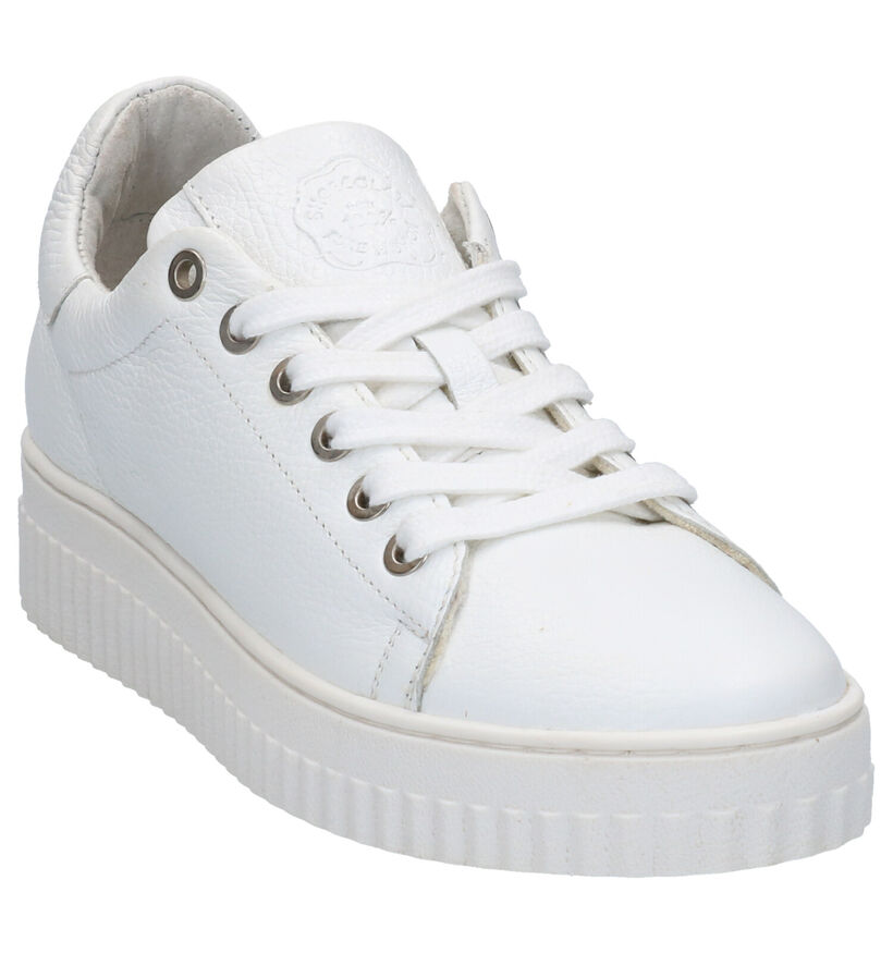 Shoecolate Witte Sneakers in leer (266407)