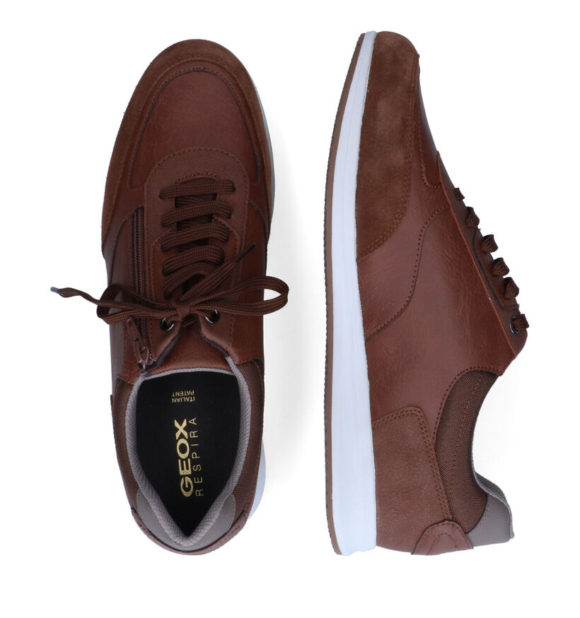 Geox Avery Chaussures basses en Marron en cuir (312927)