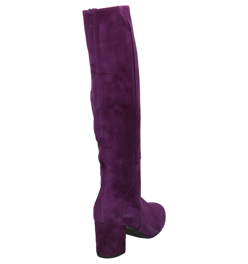 Gabor Bottes en Violet foncé en daim (260155)