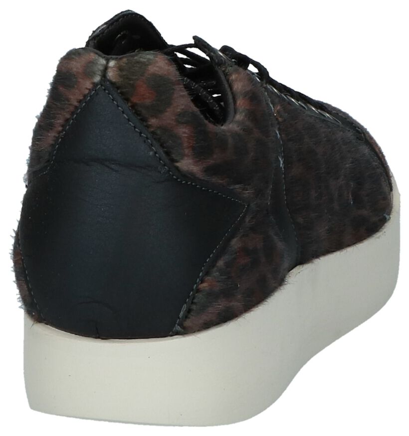 Bruine Sneakers Pantofola d'Oro Lecce Leopard Donne Low in leer (227336)