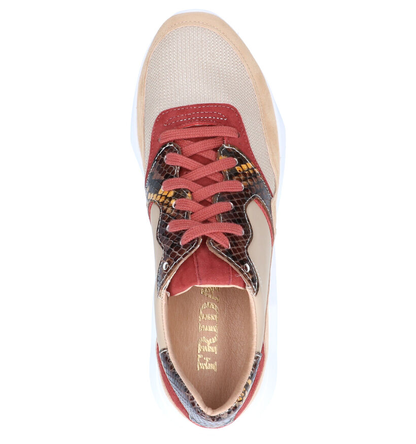 Frida Faith Beige Sneakers in daim (262445)