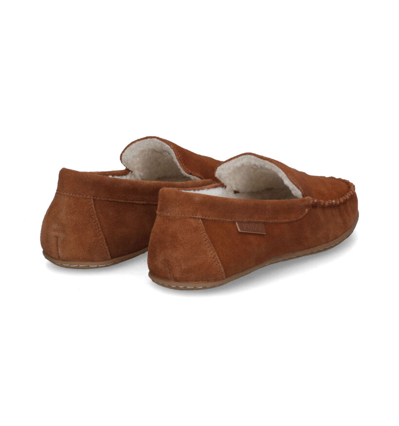 Polo Ralph Lauren Collins Bear Cognac Pantoffels voor heren (313547)