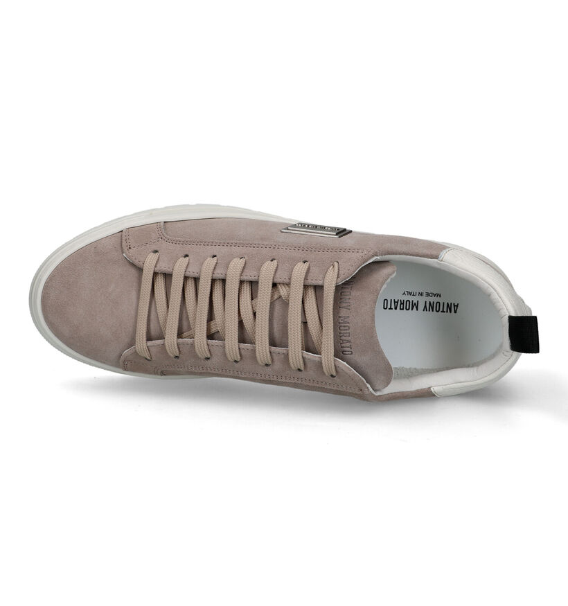 Antony Morato Chaussures à lacets en Taupe pour hommes (321988) - pour semelles orthopédiques