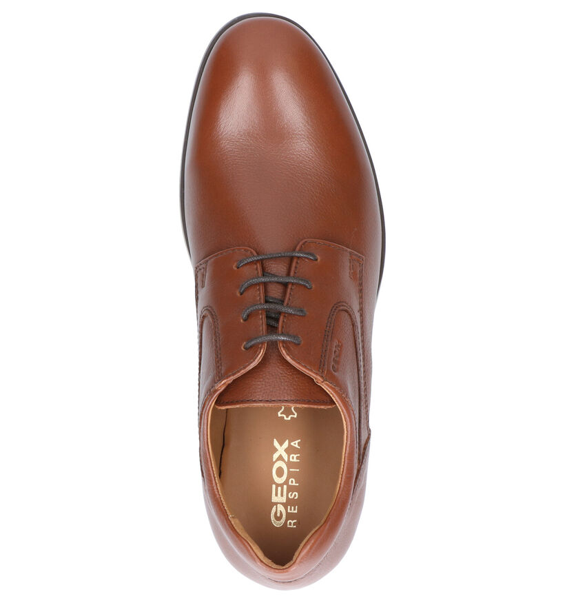 Geox Chaussures habillées en Cognac en cuir (270028)