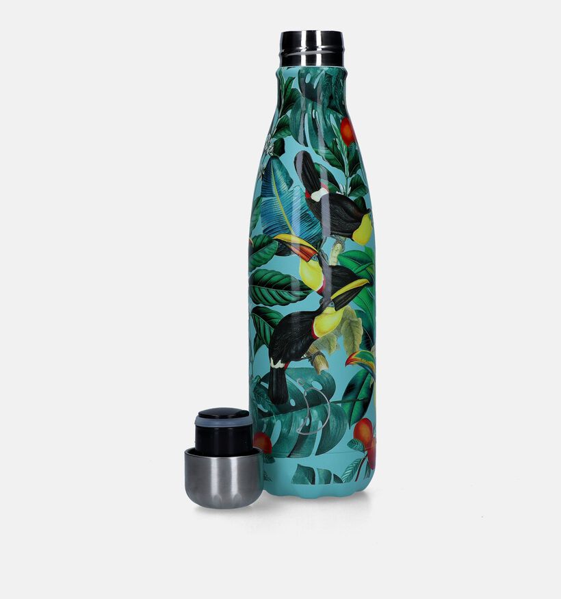 Chilly’s x Tropical Toucan 3D Groene Drinkfles 500ml voor dames, meisjes, heren, jongens (335134)