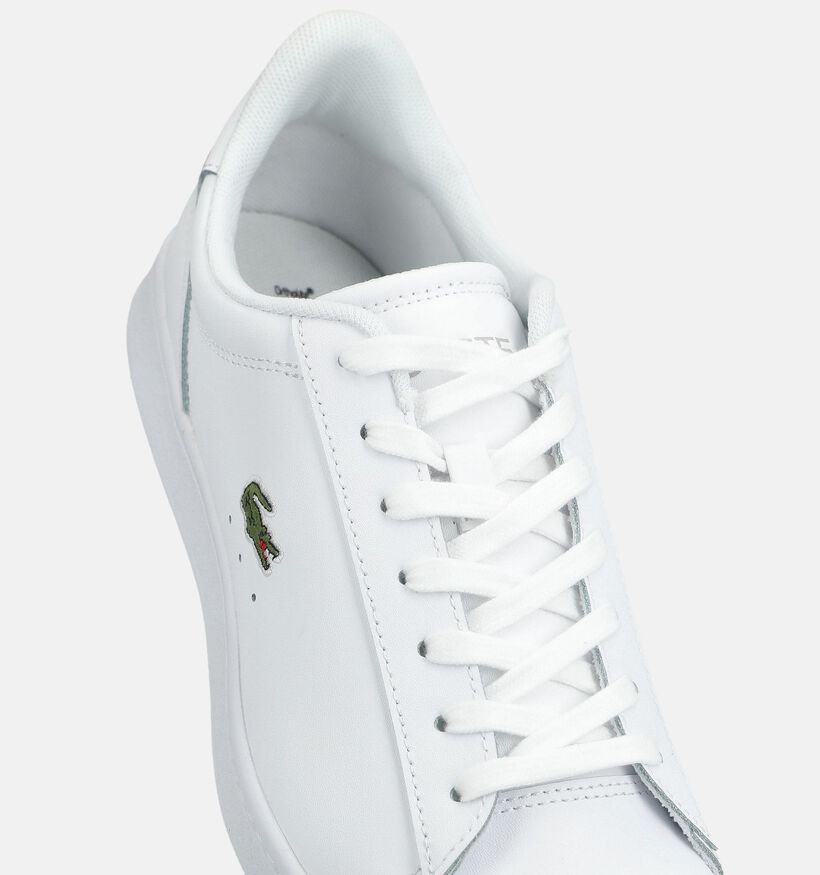 Lacoste Carnaby Witte Sneakers voor heren (377007)