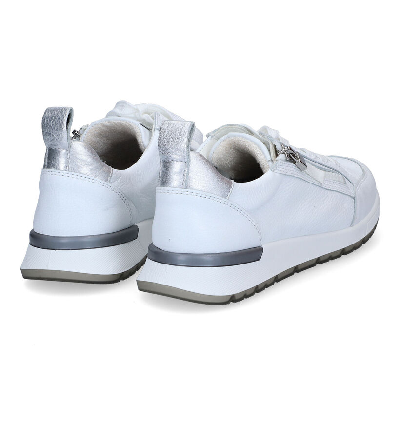 Ara Venice Witte Veterschoenen in leer (307665)