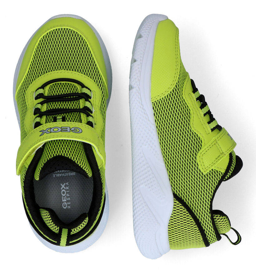 Geox Sprintye Baskets en Vert en simili cuir (311046)