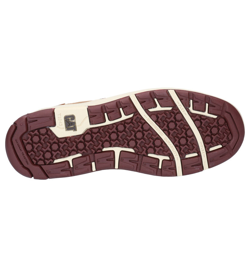 Caterpillar Colfax Chaussures à lacets en Brun en textile (266928)