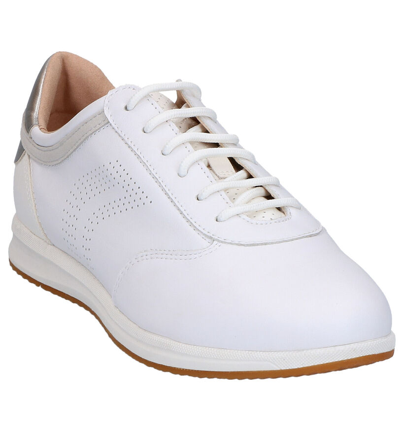 Geox Chaussures à lacets en Blanc en cuir (266845)
