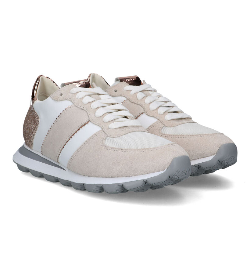 Geox Spherica Vseries Baskets en Gris en daim (326648)