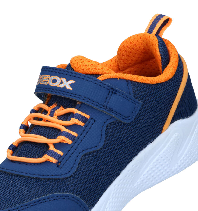Geox Sprintye Baskets en Bleu pour garçons (320627) - pour semelles orthopédiques