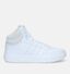 adidas Hoops 3.0 Mid Baskets en Blanc pour femmes (329412)
