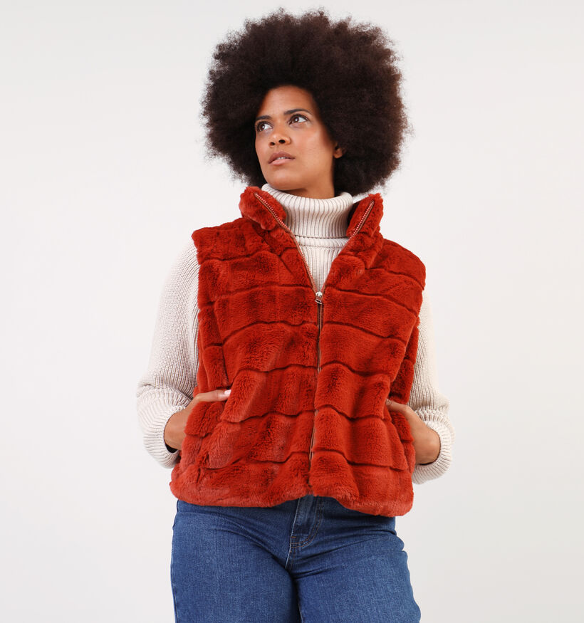Dolce C. Zwarte Korte fluffy bodywarmer voor dames (358478)