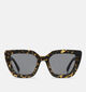 Komono Serena Dark Tortoise Bruine Zonnebril voor dames (377340)