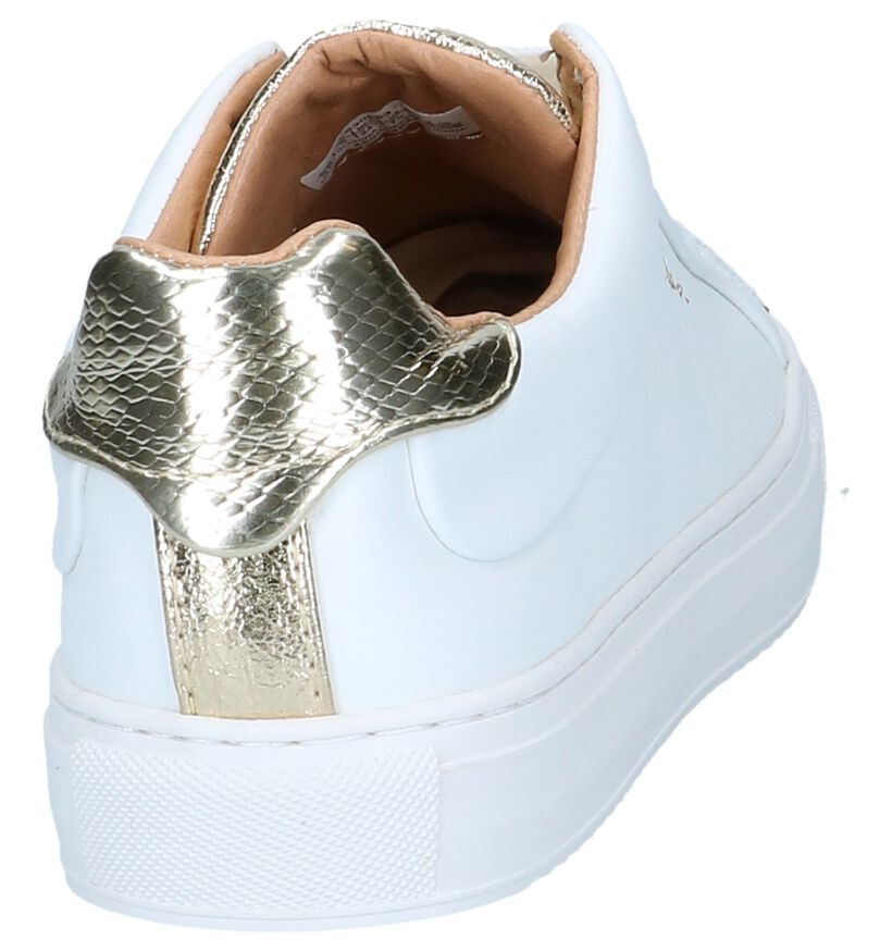 Witte Lage Sneakers Pepe Jeans Adams Premium, , pdp