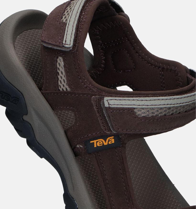 Teva Hudson Sandales de marche en Taupe pour hommes (354635)