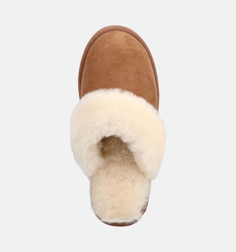 Laurent David Lichtbruine/Ecru Pantoffels voor dames (382386)
