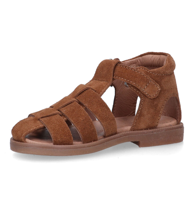 Westlake Cognac Sandalen voor jongens, meisjes (320013)