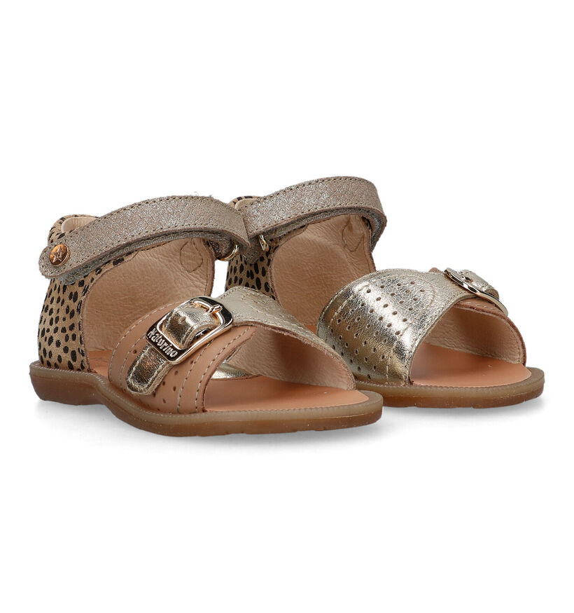 Naturino Jead Bruine Sandalen voor meisjes (324782)