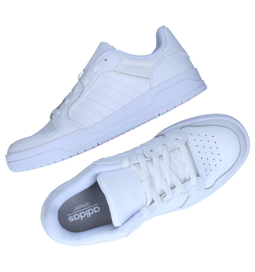 adidas Entrap Witte Sneakers in kunstleer (276466)