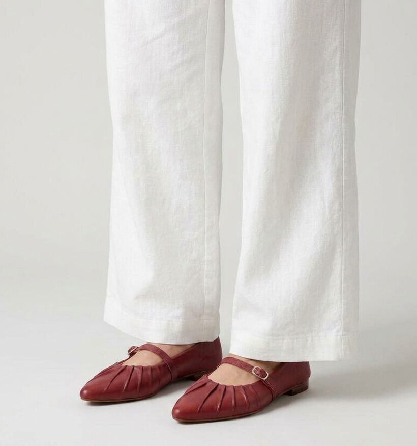 Tango Duna Ballerines en Bordeaux pour femmes (375542)