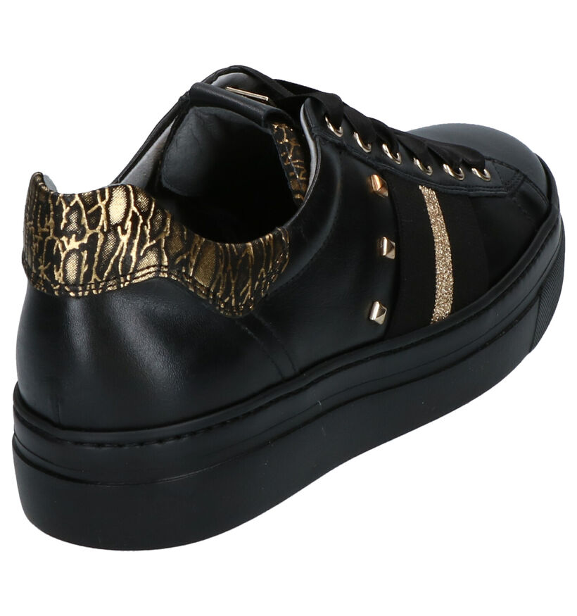 NeroGiardini Zwarte Veterschoenen in leer (262503)