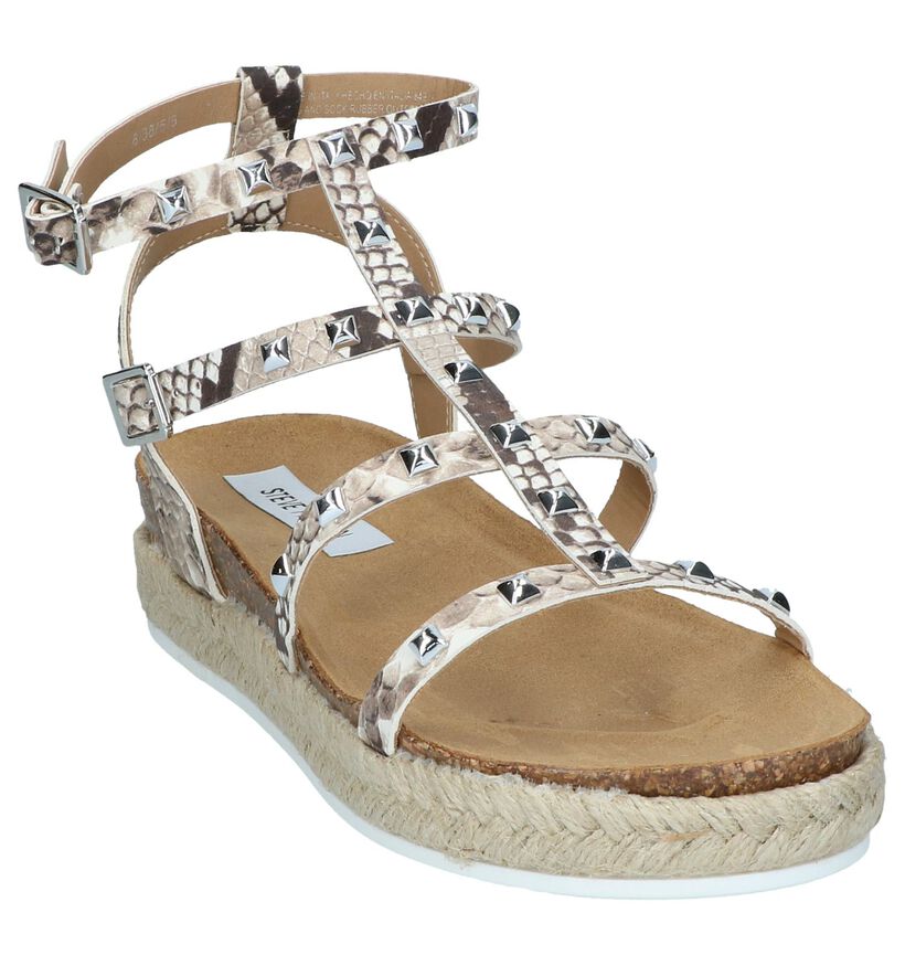 Steve Madden Array Sandales en Beige en cuir (245276)