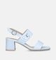 NeroGiardini Witte Sandalen met blokhak voor dames (339533)