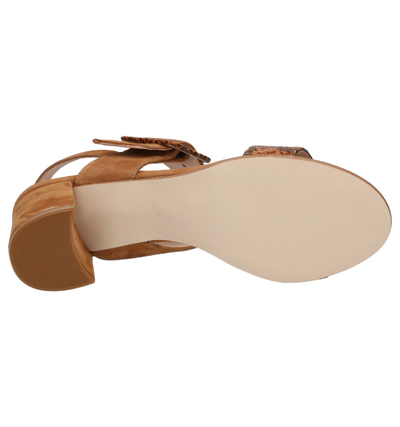 Hampton Bays Cognac Sandalen in daim (266376)