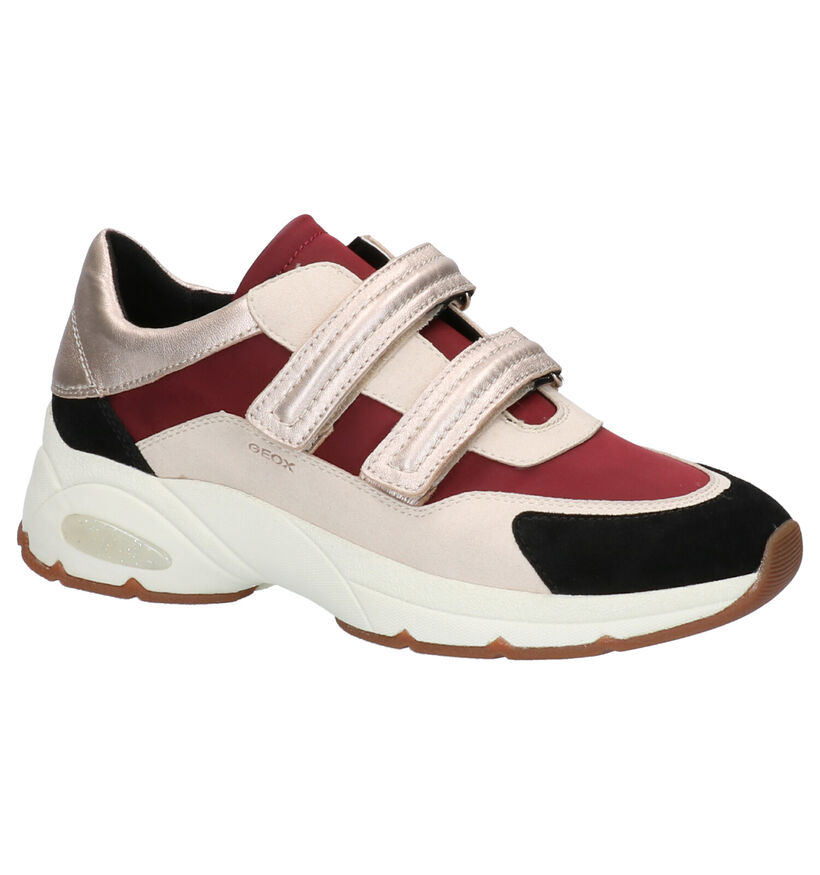 Geox Baskets basses en Beige foncé en cuir (255269)