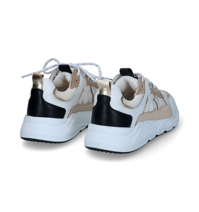 Poelman Baskets casual en Blanc en cuir (310326)