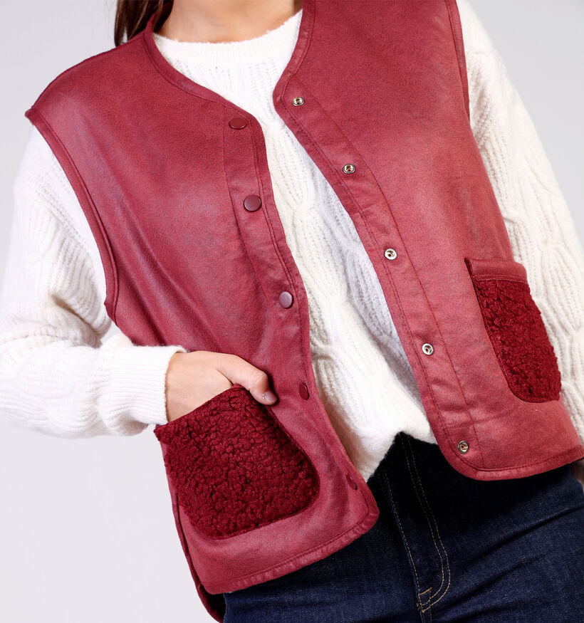 Laurent David Bodywarmer en Bordeaux pour femmes (366532)