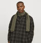 Jack & Jones Kaki Sjaal voor heren (345873)