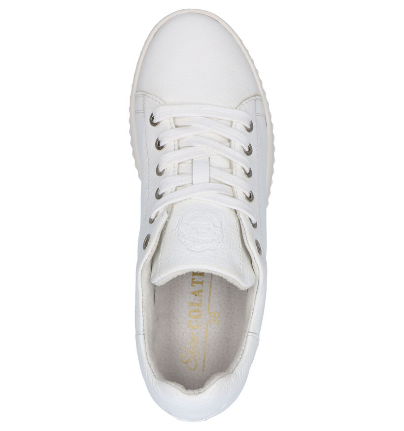 Shoecolate Witte Sneakers in leer (266407)
